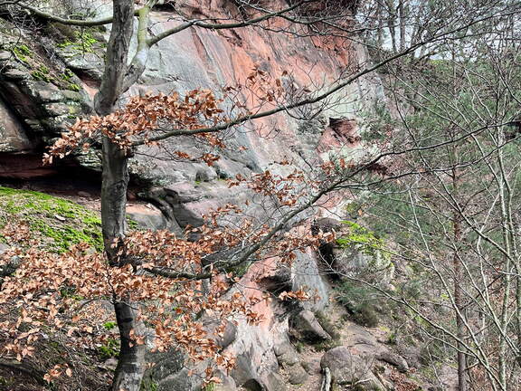 24-02-27 14-02-03 8749